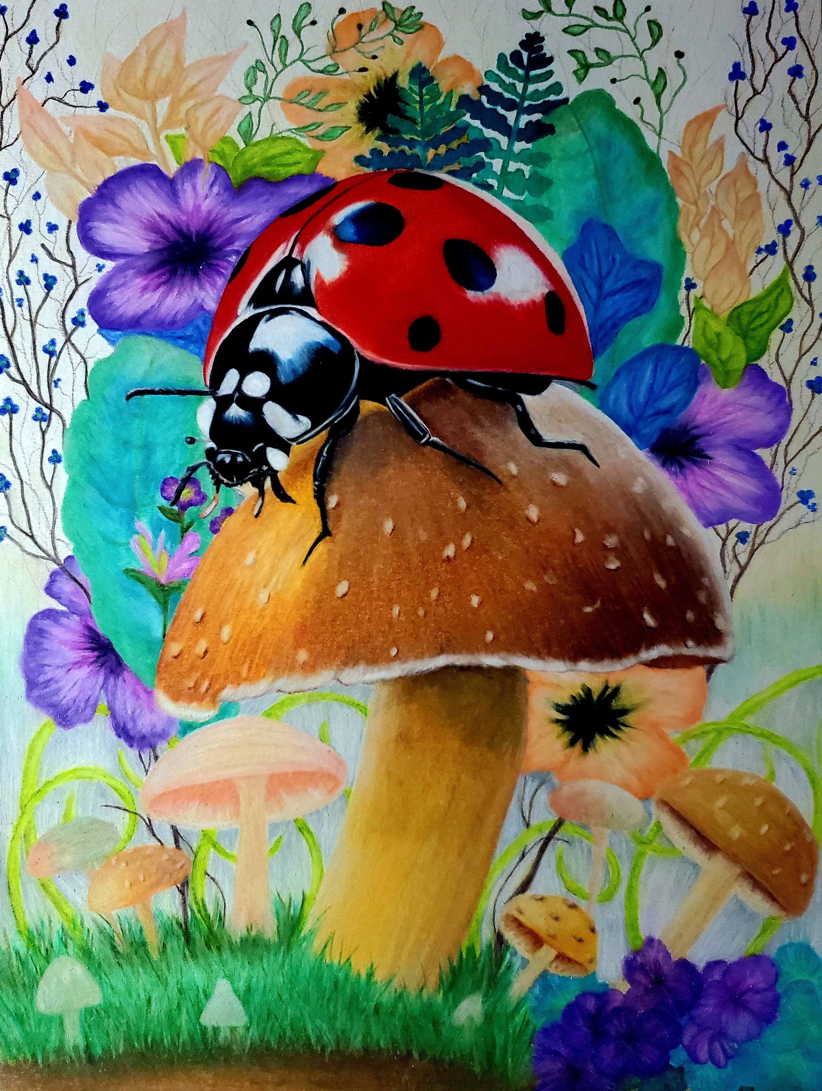 Original Colored Pencil Artwork